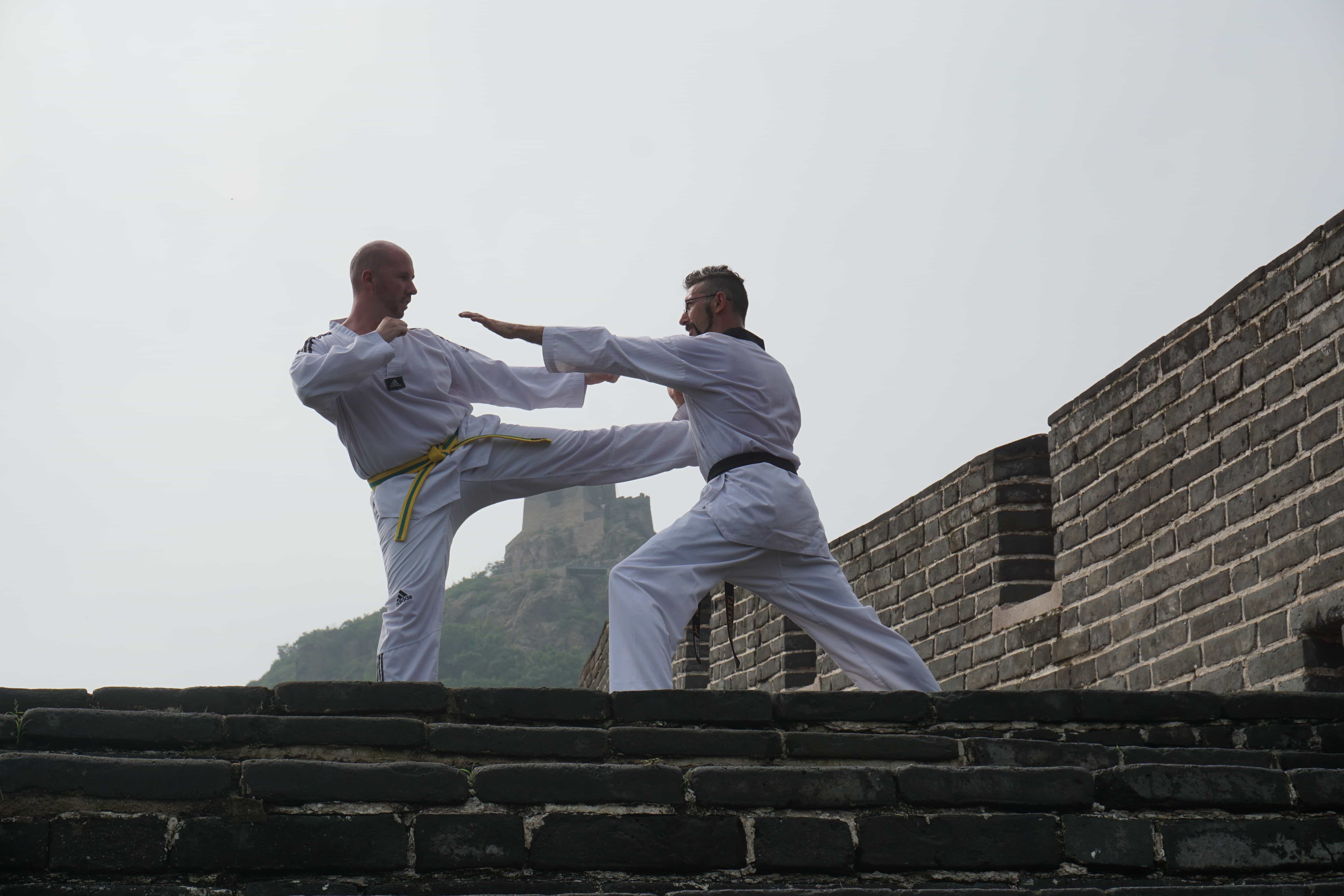 Taekwondo Training